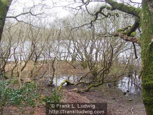 Lough Gill, County Sligo